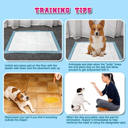 150 Count Small ( S 17" X 24") Super Absorbent Dog and Puppy Training Pads, Pet Diaper Pee Pads for Small-Sized Dogs like Bulldog, Chow Chow, Border, Collie, Husky and so On
