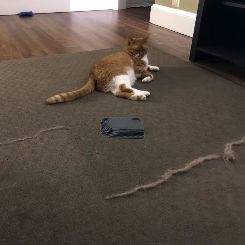 FurSweep Pro – Car Interior Hair Removal Brush & Cleaning Scraper Tool